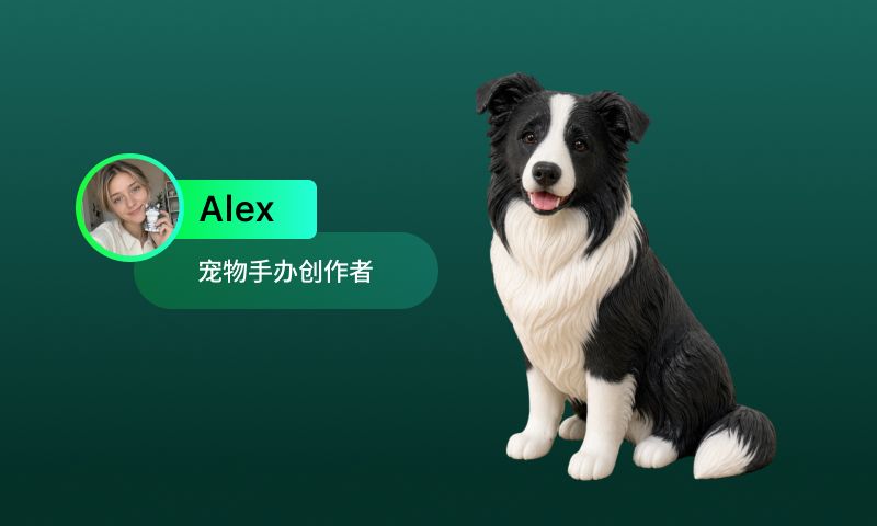它不是一只完美的宠物模型,而是主人记忆里的“它”