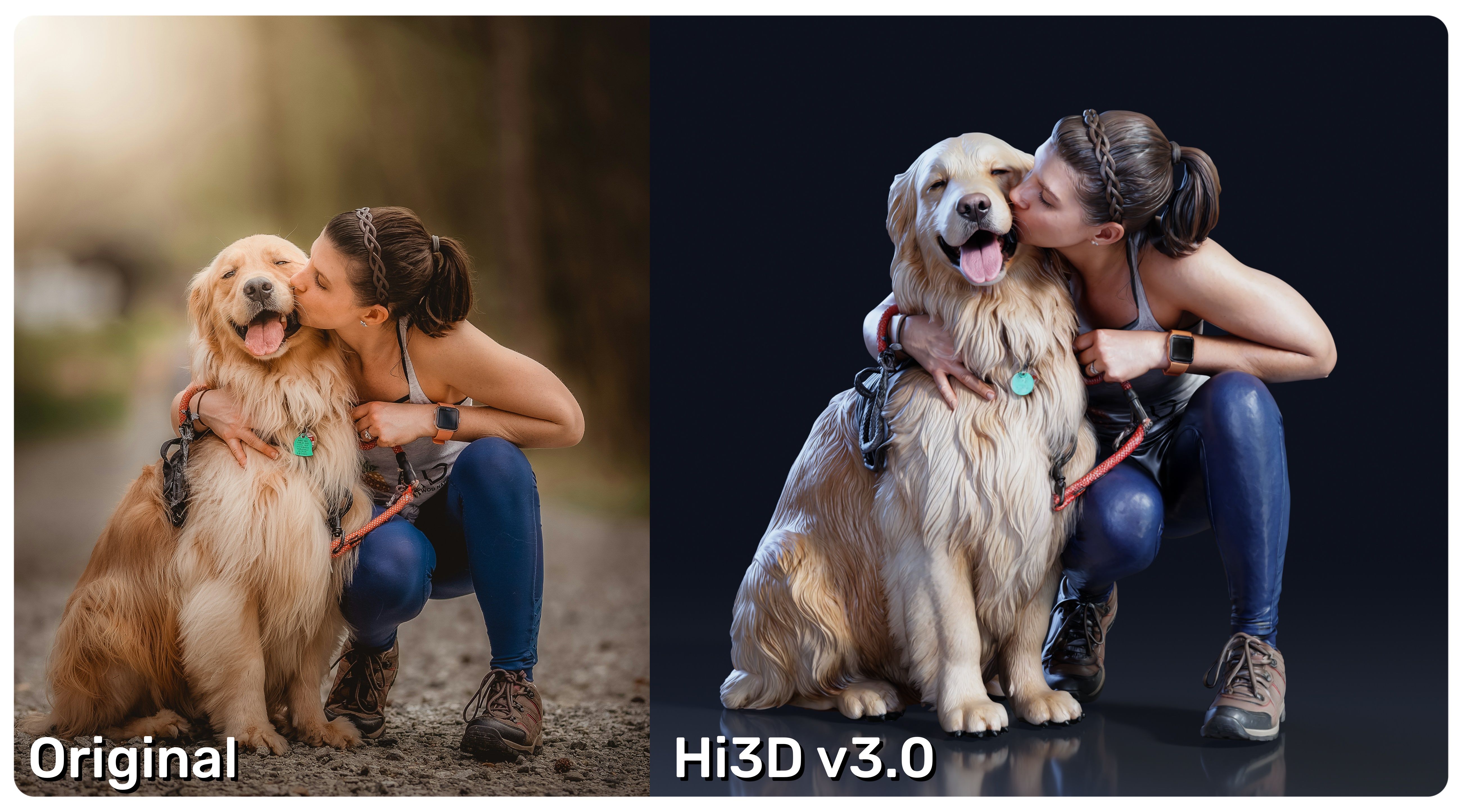 hi3dv3-4.jpg