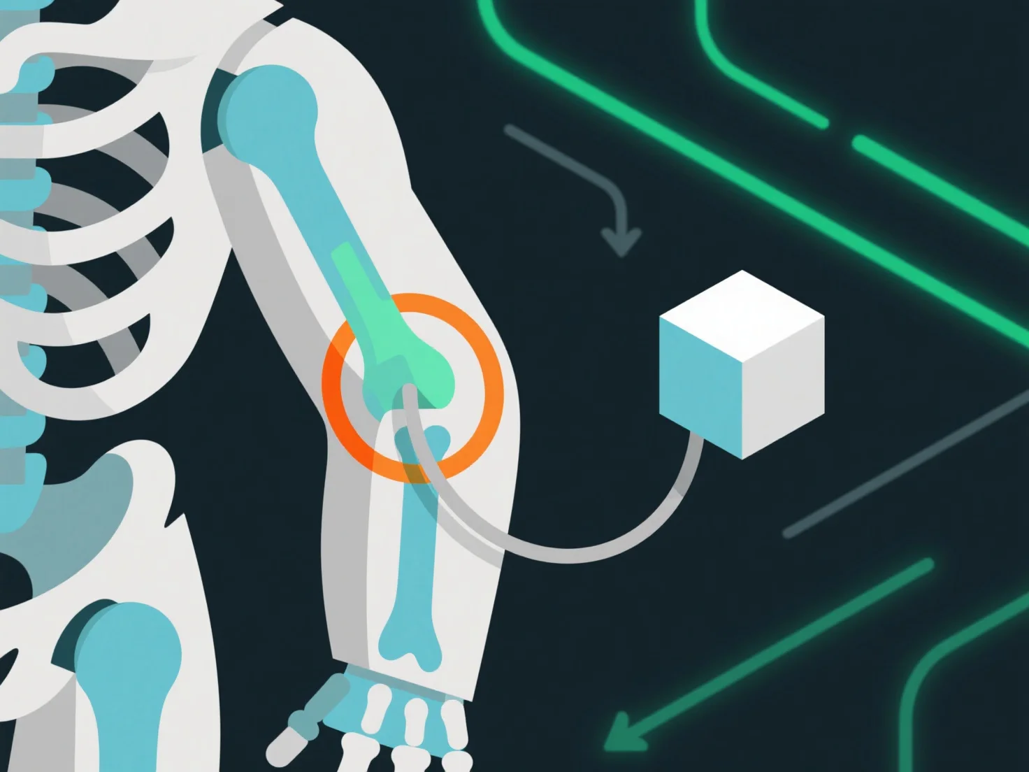 What is the role of constraints in 3D animation rigs?