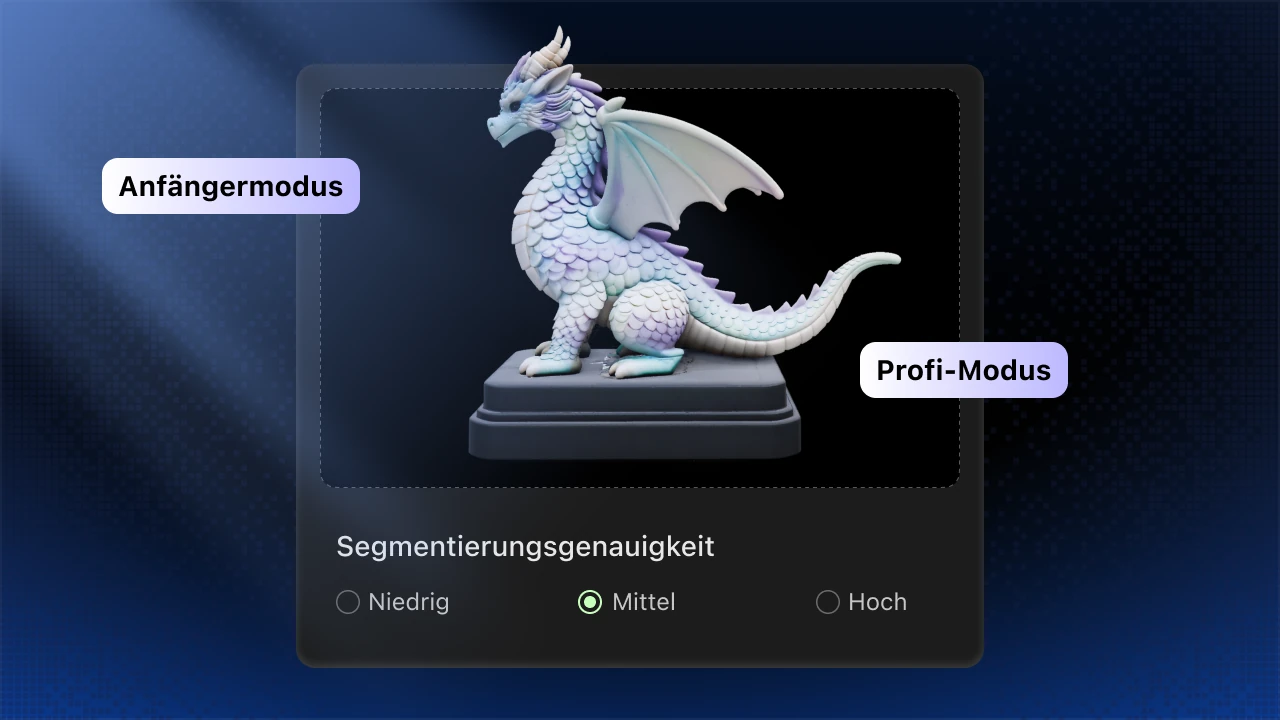 Oberfläche der Segmentierungsmodi für Einsteiger und Profis