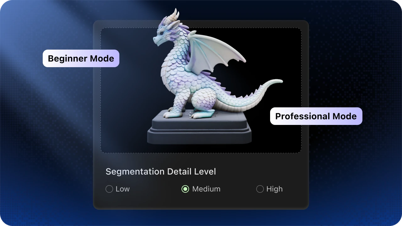 Beginner and Professional segmentation modes interface